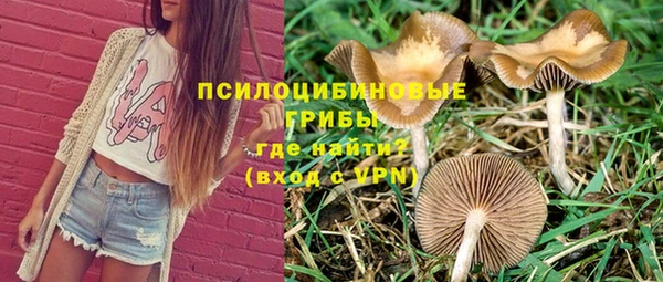 таблы Алексин