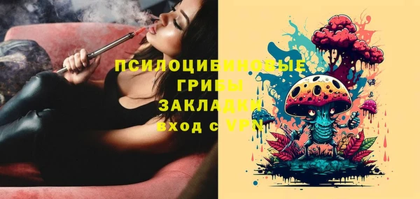 твердый Алексеевка