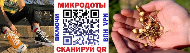 Псилоцибиновые грибы прущие грибы  Миасс 